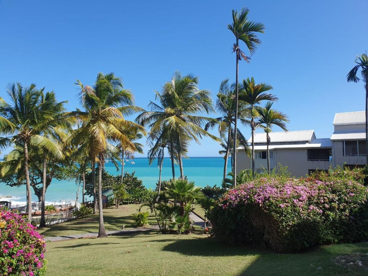 Grand Studio De 41 M², Vue Mer Et Jardin Tropical. Le Gosier  Zewnętrze zdjęcie