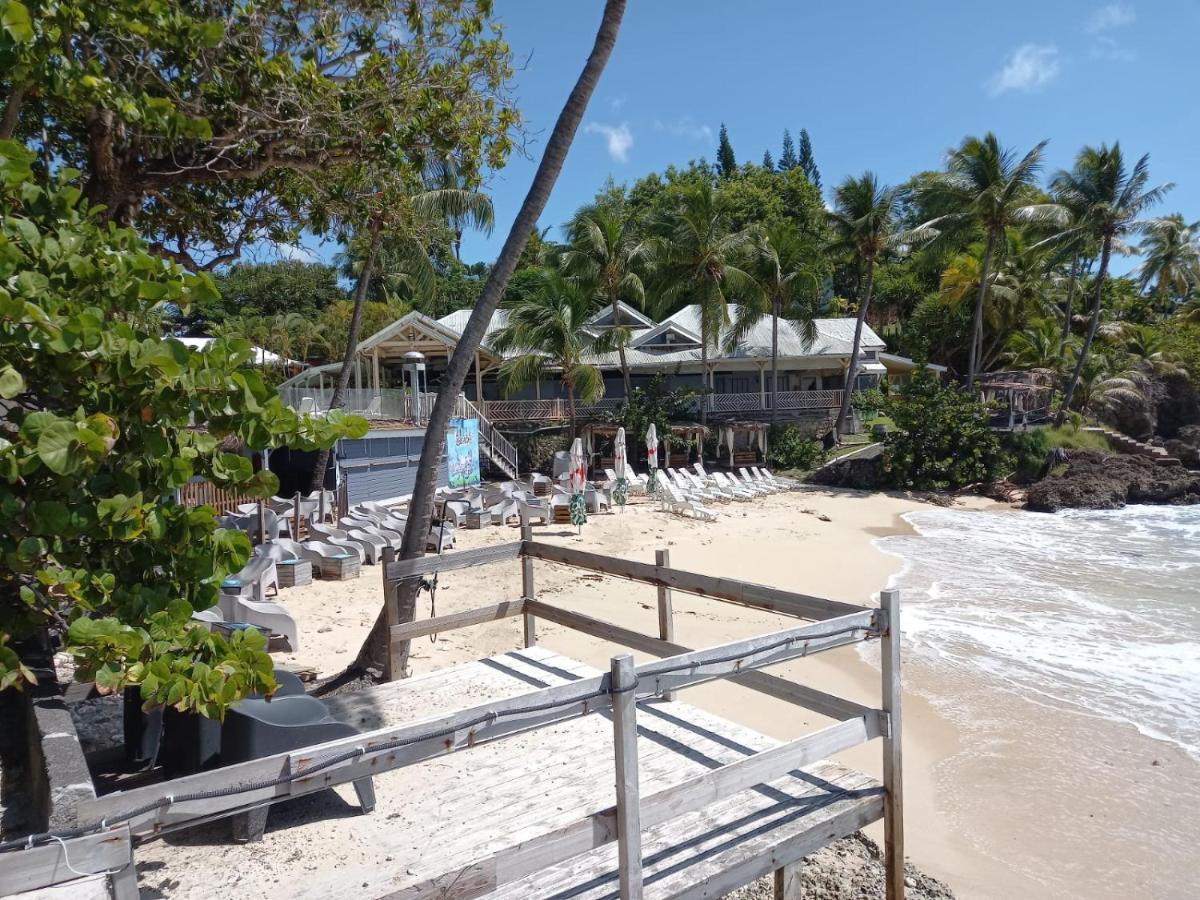 Grand Studio De 41 M², Vue Mer Et Jardin Tropical. Le Gosier  Zewnętrze zdjęcie