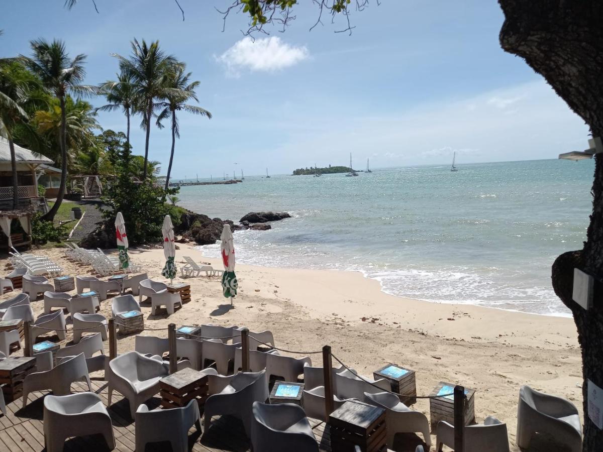 Grand Studio De 41 M², Vue Mer Et Jardin Tropical. Le Gosier  Zewnętrze zdjęcie