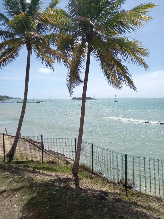 Grand Studio De 41 M², Vue Mer Et Jardin Tropical. Le Gosier  Zewnętrze zdjęcie