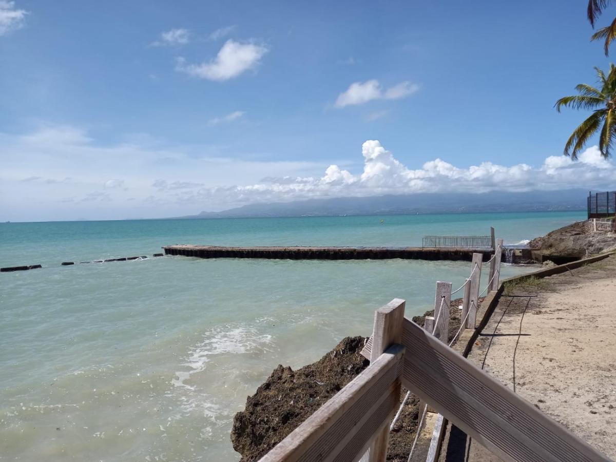 Grand Studio De 41 M², Vue Mer Et Jardin Tropical. Le Gosier  Zewnętrze zdjęcie